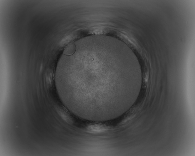 X0000086740503200704131132