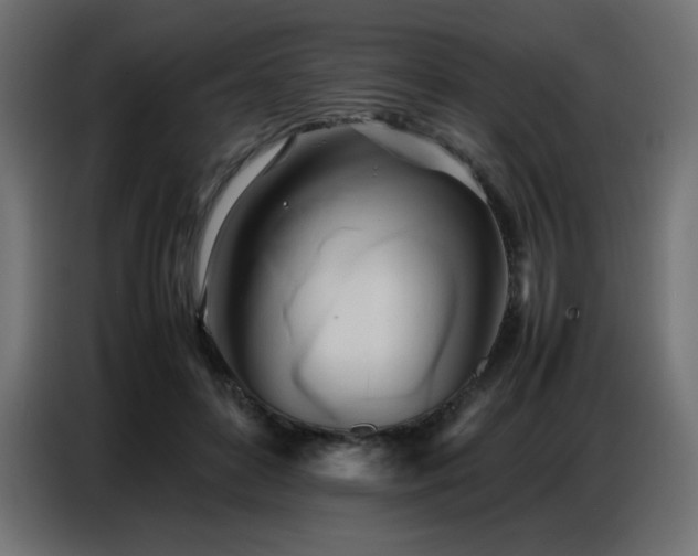 X0000086740504200704131132