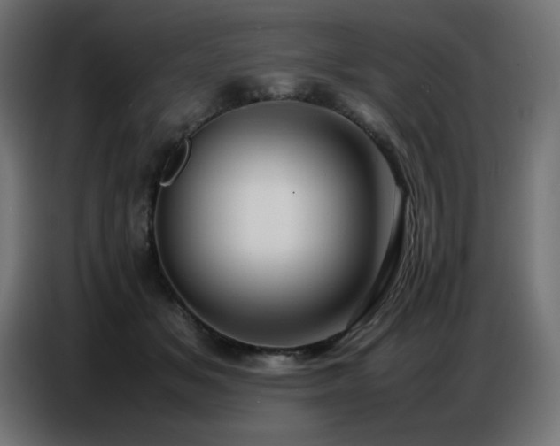 X0000086740509200704131131