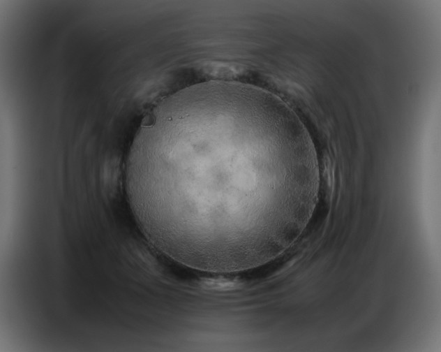 X0000086740511200704131131