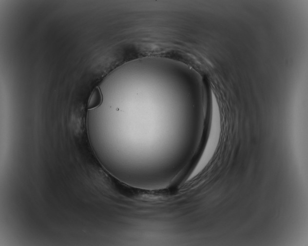 X0000086740515200704131131