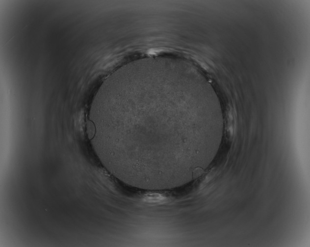 X0000086740519200704131131