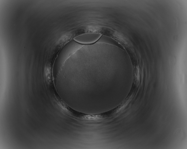 X0000086740526200704131131
