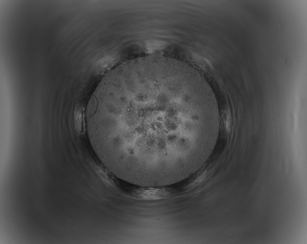 X0000086740527200704131131