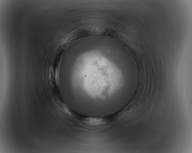 X0000086740528200704131131