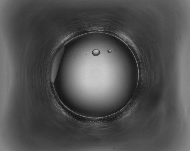 X0000086740529200704131131