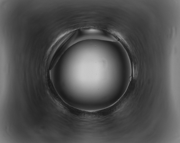 X0000086740531200704131131