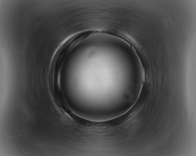 X0000086740532200704131131