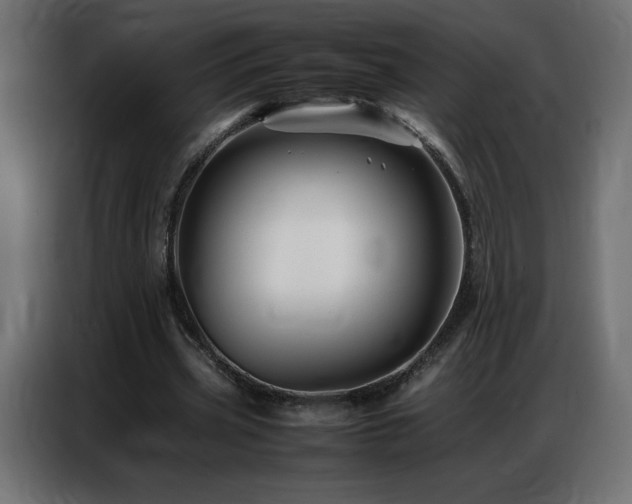 X0000086740533200704131131