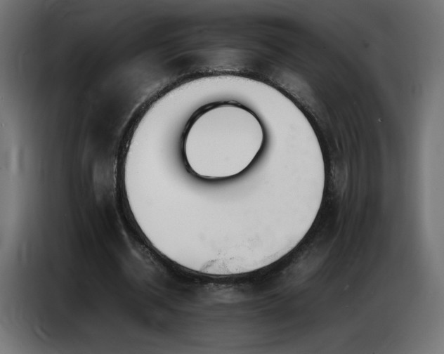 X0000086740534200704131131