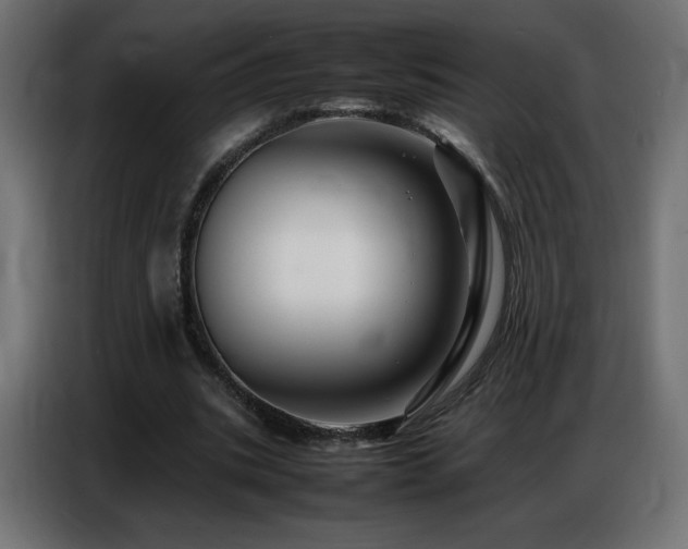 X0000086740535200704131131