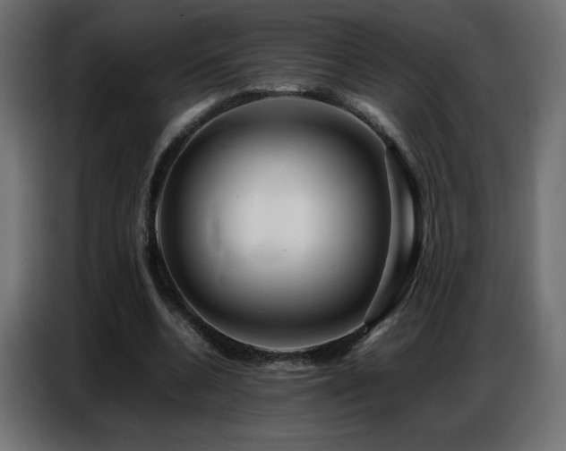 X0000086740536200704131131