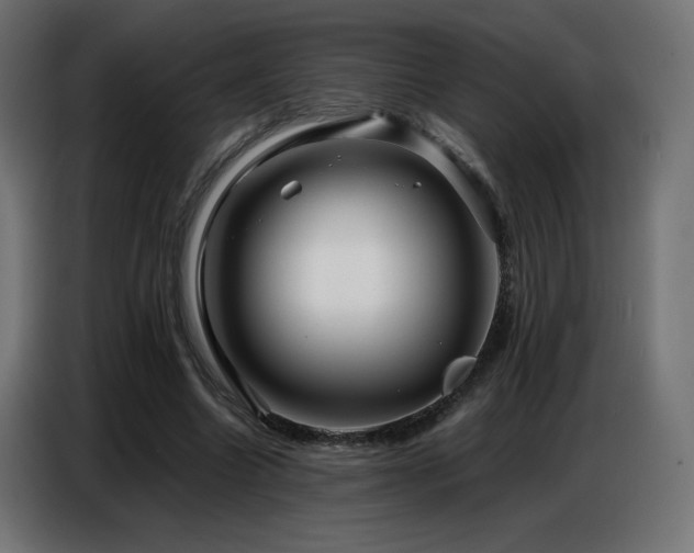 X0000086740538200704131131