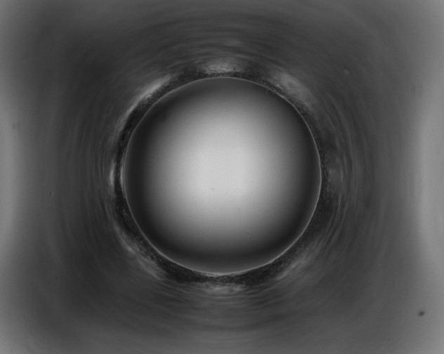 X0000086740539200704131131