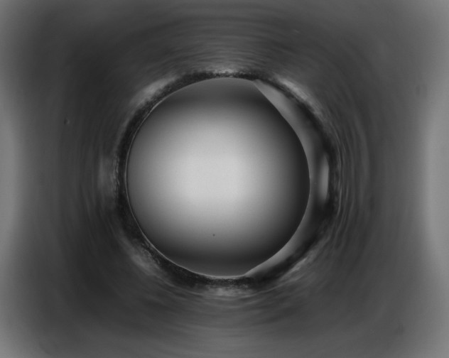 X0000086740540200704131131
