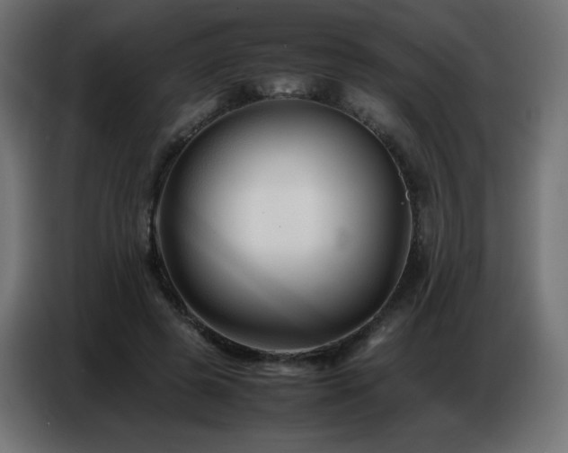 X0000086740545200704131131