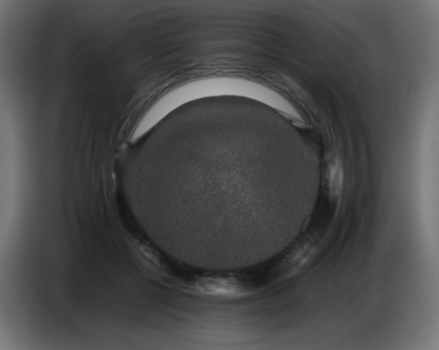 X0000086740552200704131131