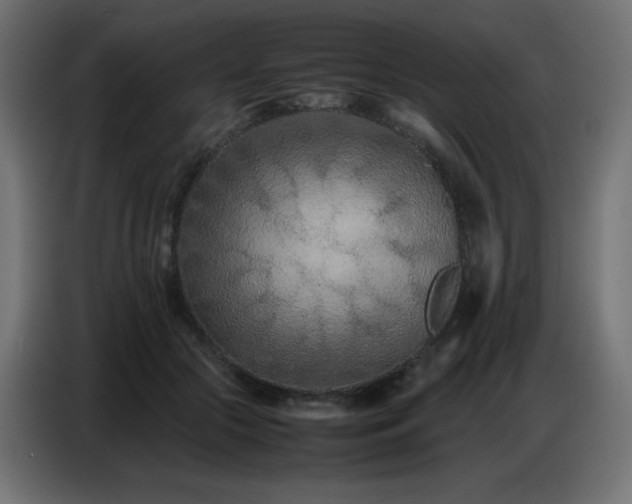 X0000086740553200704131131