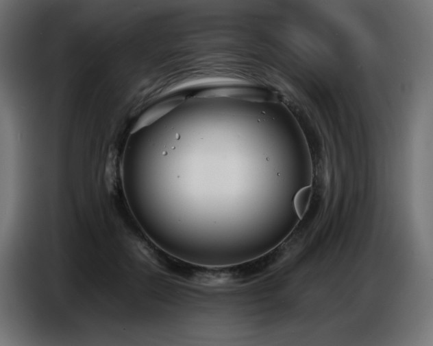 X0000086740554200704131131