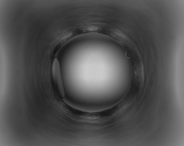 X0000086740555200704131131