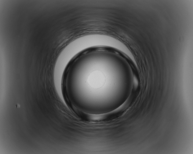 X0000086740556200704131131