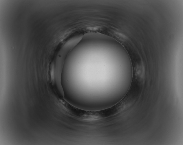 X0000086740559200704131131