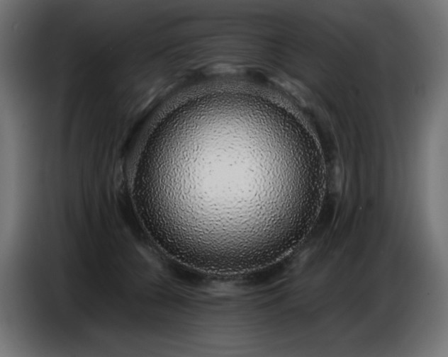 X0000086740560200704131131