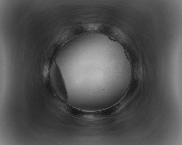 X0000086740561200704131131