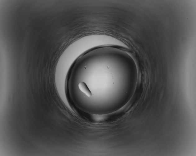 X0000086740564200704131131