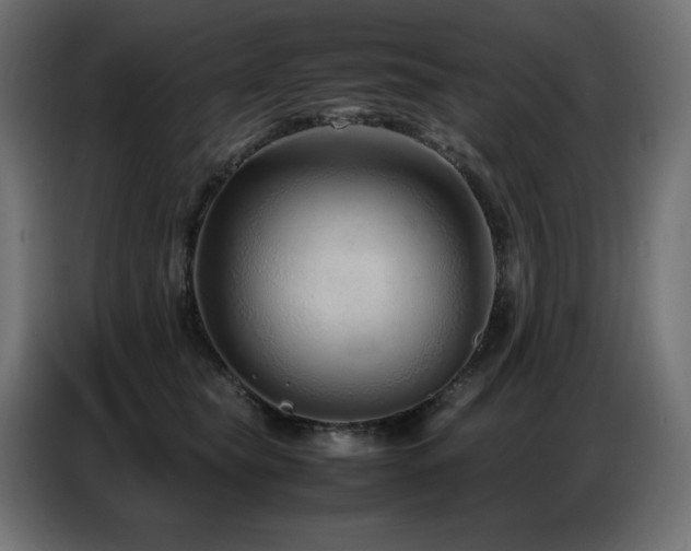 X0000086740565200704131131