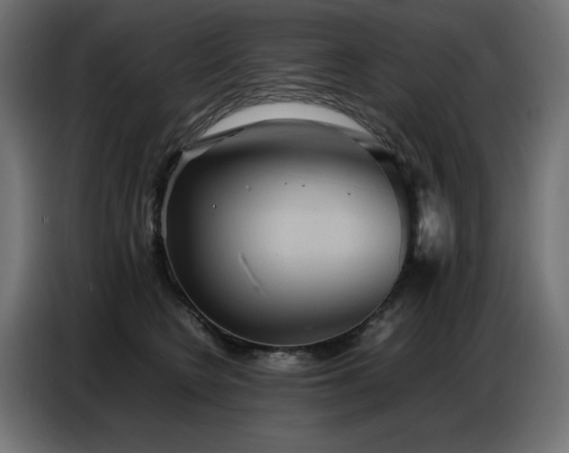 X0000086740566200704131131
