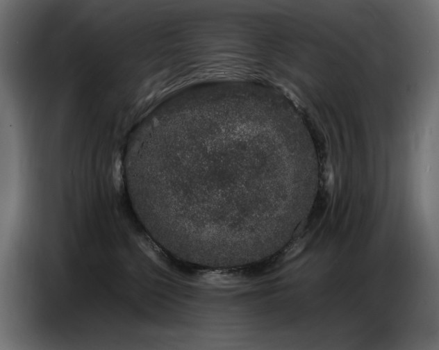 X0000086740568200704131131