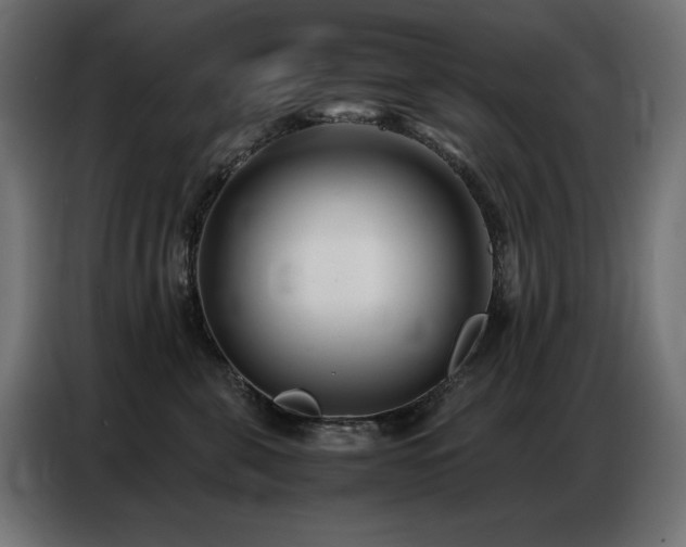 X0000086740571200704131131