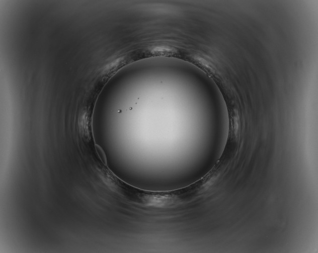 X0000086740575200704131131