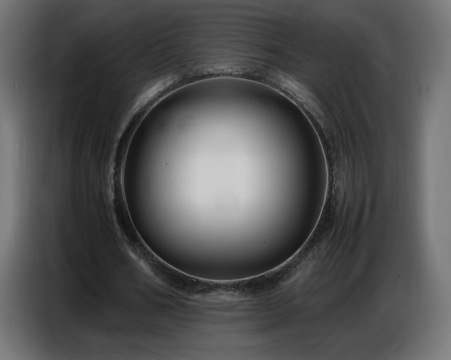 X0000086740578200704131130