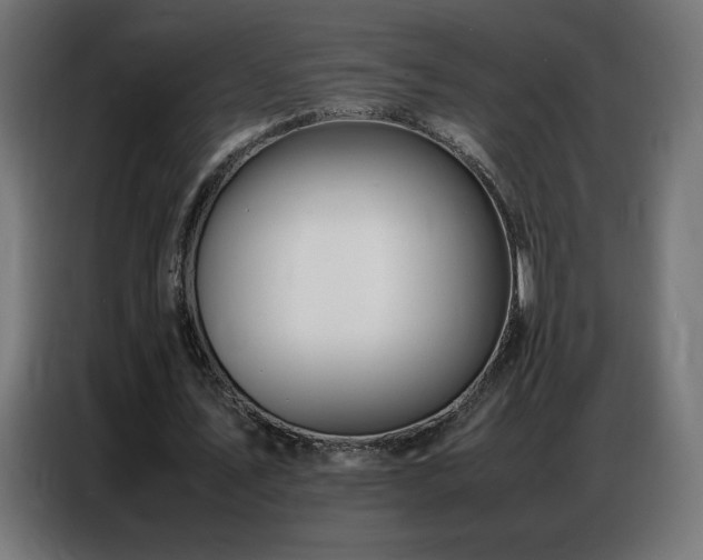 X0000086740579200704131130