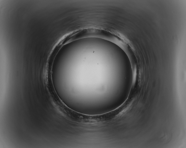 X0000086740580200704131130