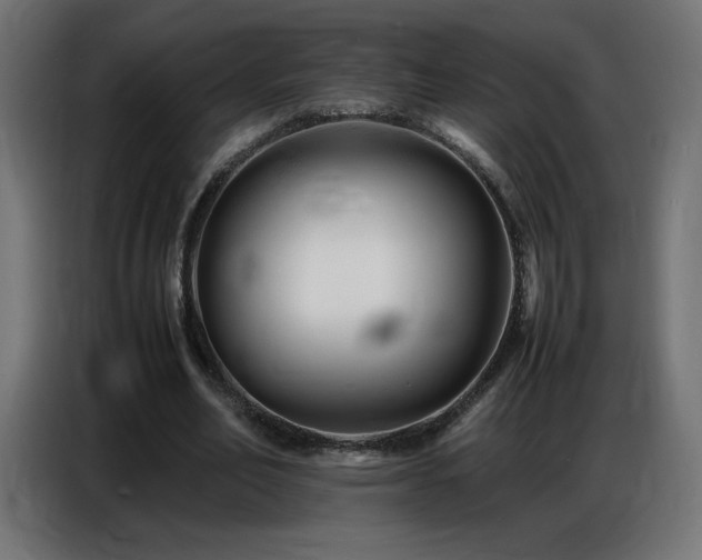 X0000086740582200704131130