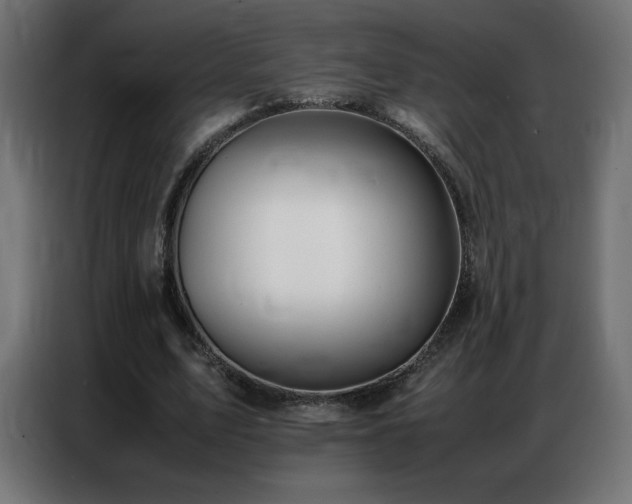 X0000086740583200704131130