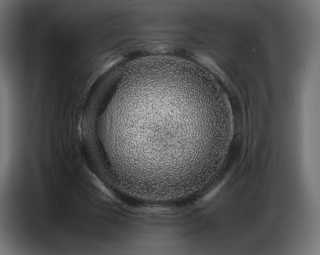 X0000086740585200704131130