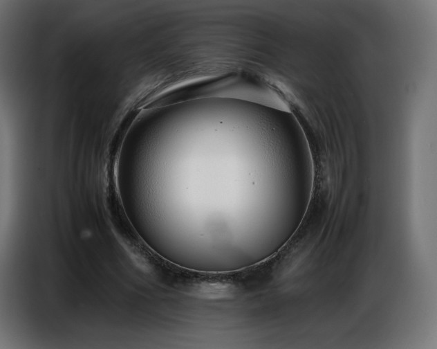 X0000086740586200704131130