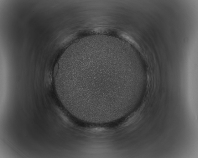 X0000086740593200704131130