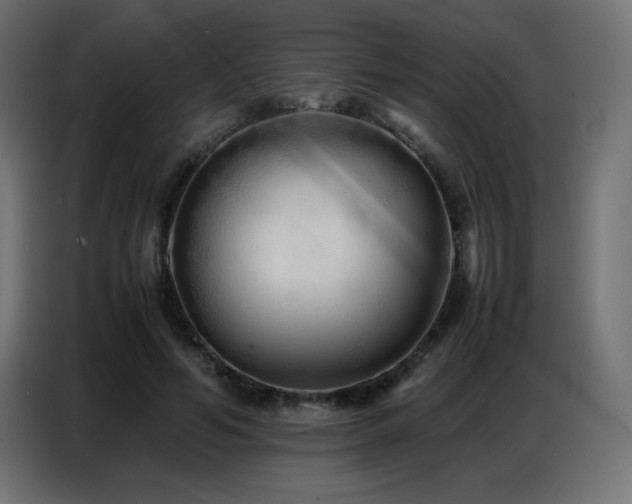 X0000086740594200704131130
