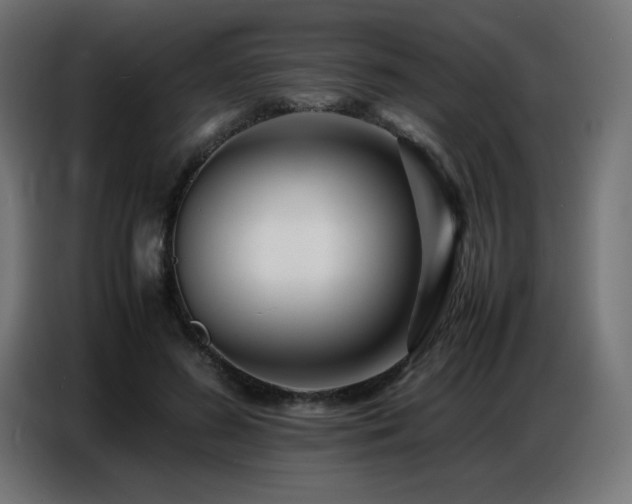 X0000086740596200704131130