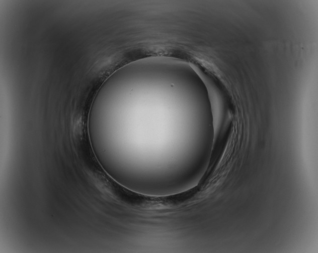 X0000086740597200704131130