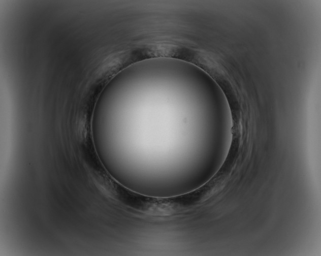 X0000086740599200704131130