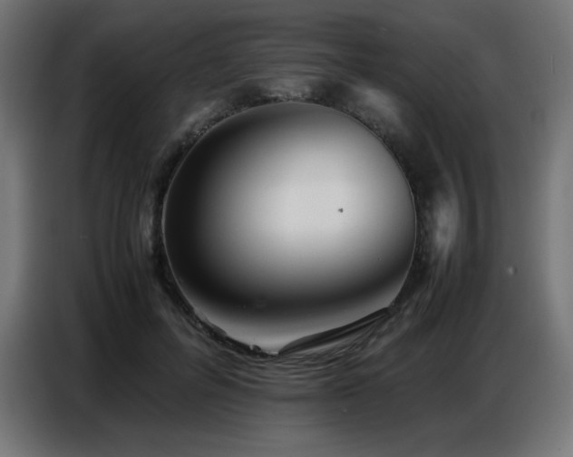 X0000086740600200704131130