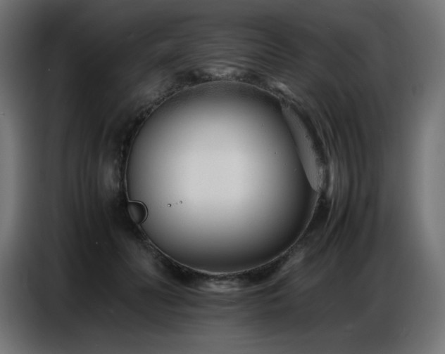 X0000086740606200704131130