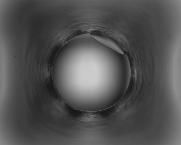 X0000086740607200704131130