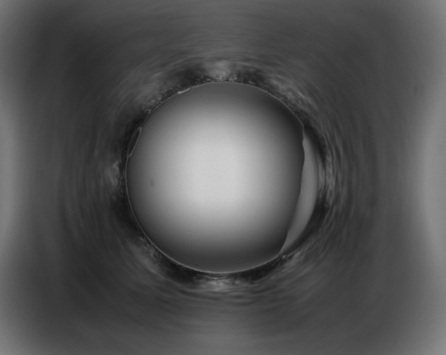 X0000086740611200704131130